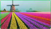 Netherlands
